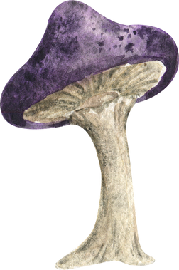 Watercolor Magic Mushroom